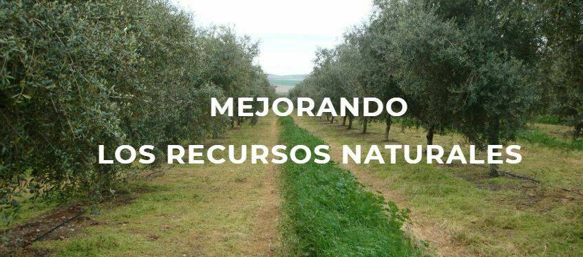 Agricultura-conservacion-1|Agricultura-de-conservacion - còpia|Agricultura de Conservación protege y mantiane vivos los suelos